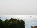 Tn CANNES ANTIBES 219